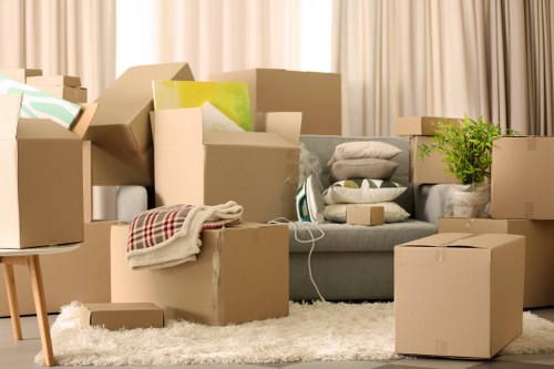 Wardrobe and heavy-duty packing boxes for secure local moving